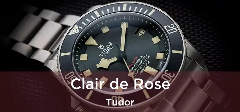  Clair de Rose Tudor