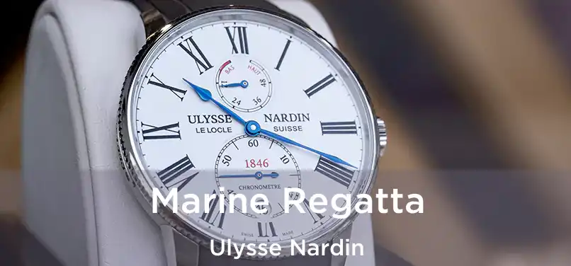  Marine Regatta Ulysse Nardin